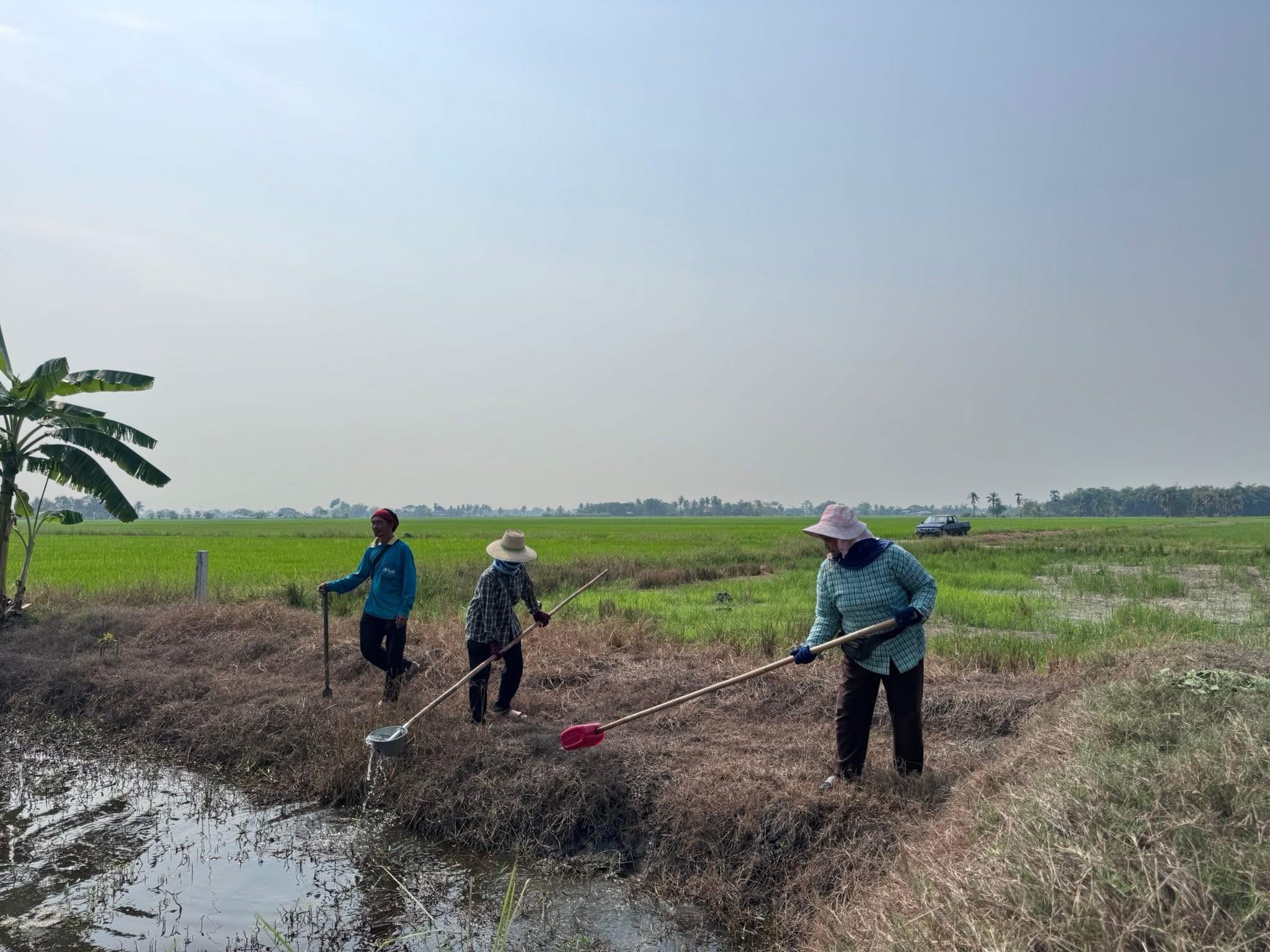 title - ส.ป.ก.อ่างทอง จัดกิจกรรมโครงการพัฒนาและรณรงค์การใช้หญ้าแฝกอันเนื่องมาจากพระราชดำริ ปีงบประมาณ 2569  